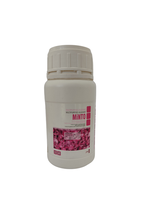 MİNTO - 250 Ml