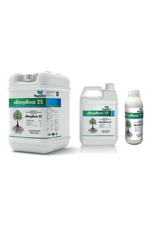 DEEP ROOT 25 - 20 Lt